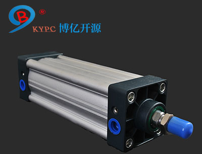 BSUϵ�И˜ʚ��