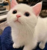 珊珊