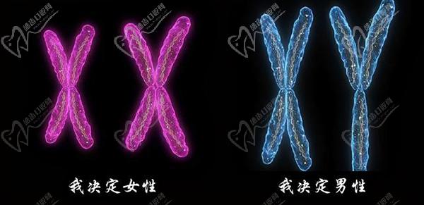 泰國(guó)變性手術(shù)需要多少錢(qián)