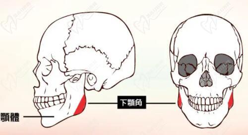 重慶何才偉和安可忍誰(shuí)<span style=